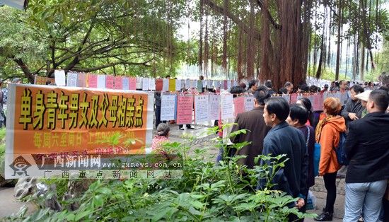 南宁人民公园 相亲角 火爆 子女单身父母着急(