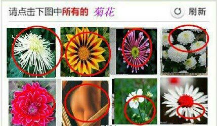 �����²�12306��֤��