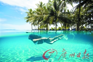 名岛海鲜自助_逃离雾霾,我们迷醉在大东海