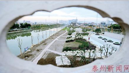 泰州南官河焕发第二春 绿色河岸四季有景