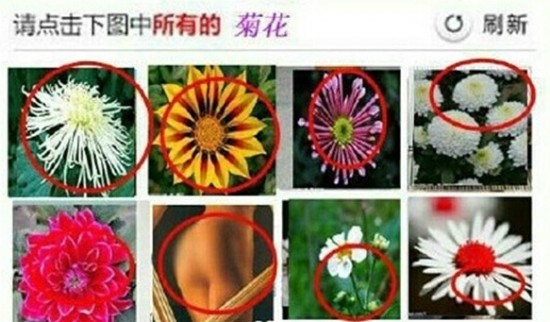脸盲回不了家!王大治杨臣刚成网购火车票验证码