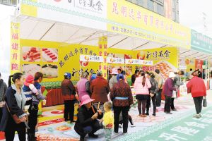 云南海鲜批发_云南省首届冷冻食品交易节正式揭幕
