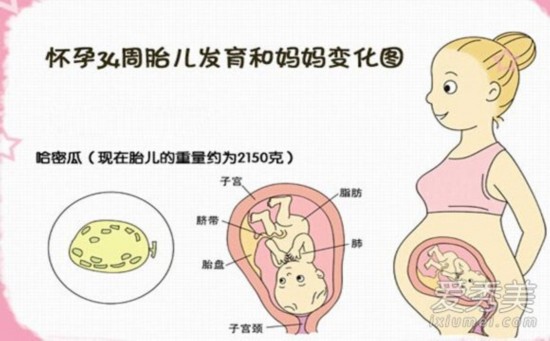 孕期胚胎大小对照表,快看胎宝宝发育正常吗答:孕期通过b超判断胎儿的