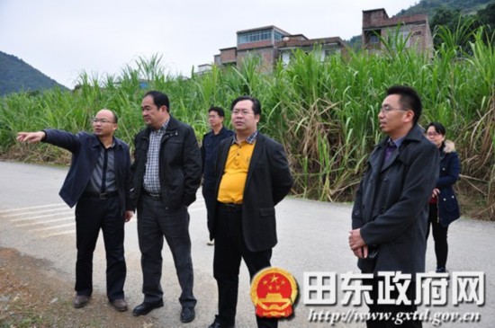 百色市人口普查_人口普查图片(2)