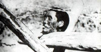 南京大屠杀南京人口_外国人创建 南京人 网站 把南京1937告诉全世界(2)
