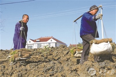 大丰今冬明春计划疏浚221条大中沟 防水土流失