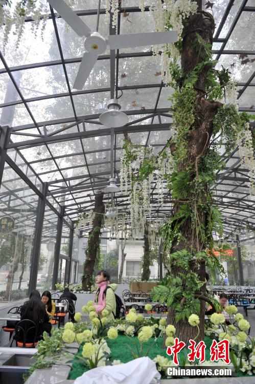 武汉高校现风情树林餐厅