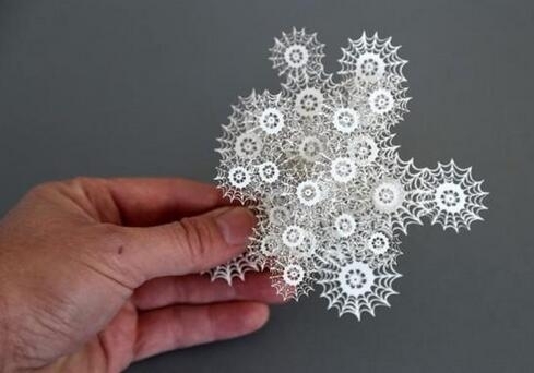 艺术家创三维剪纸:灵感来自培养皿 美轮美奂密