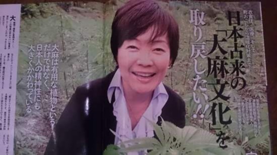 安倍夫人夸口大麻解禁论 日本民众怎么看?