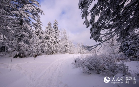 图说龙江:哈尔滨凤凰山的冰雪圣境(高清组图)