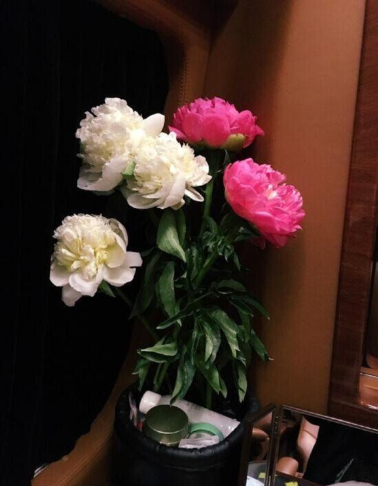 张馨予车内秀长腿被赞九头身美女 性感撩人引宅男喷血