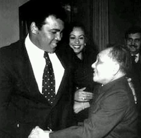  俄总理接见黄晓明  盘点那些被国家领导人接见