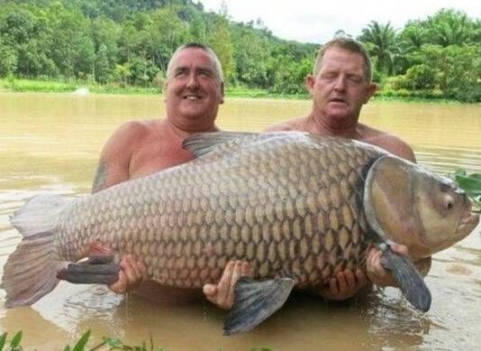 漁民捕獲魚中魚 盤點人類捕獲的“魚王”們