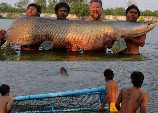 漁民捕獲魚中魚 盤點人類捕獲的“魚王”們