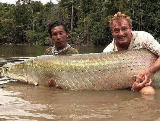 漁民捕獲魚中魚 盤點人類捕獲的“魚王”們