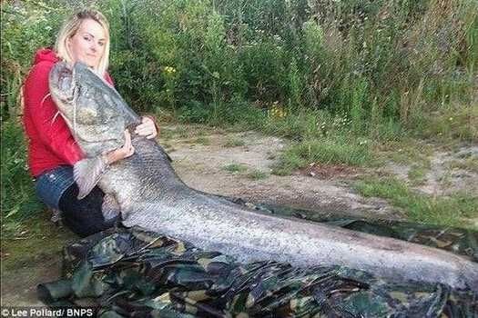 漁民捕獲魚中魚 盤點人類捕獲的“魚王”們