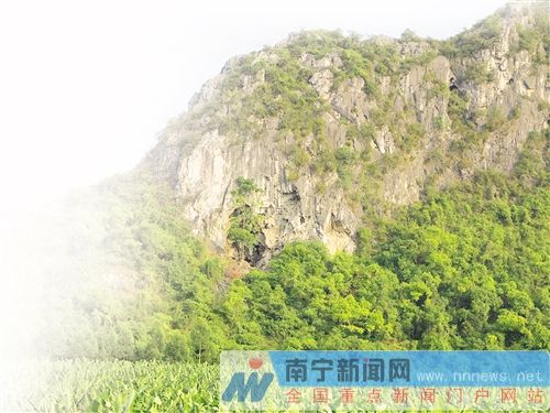 图片版权归原作者所有