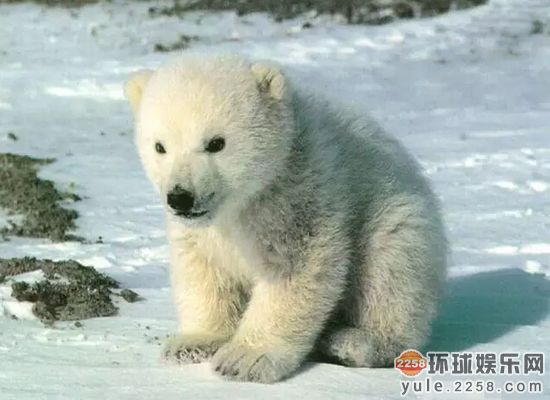 Tfboys易烊千玺15岁生日收到的土豪礼物壕哭网