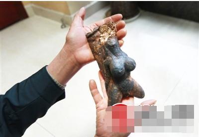 村民挖到罕见人形肉灵芝 乳房丰满系秦始皇的长生不老