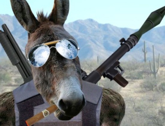 机枪架驴背上 也门民兵与胡塞武装战斗照爆红(图)