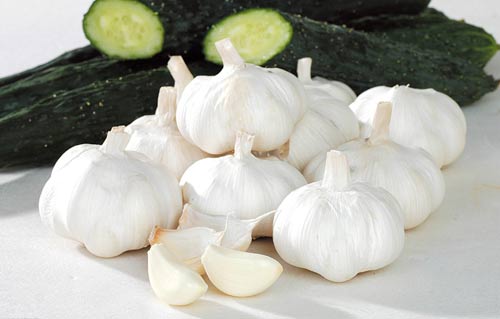 春天养生:适合女人的十大滋补食物(图)