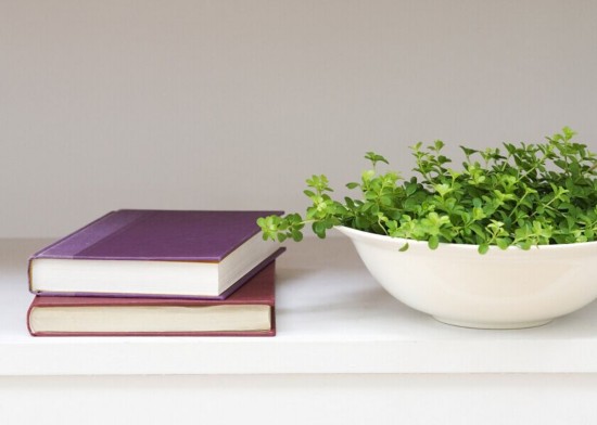 家居室内盆栽植物的好处