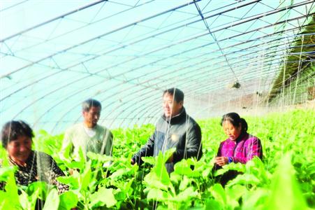 鞍山师范学院_鞍山人口总数