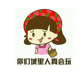 2015哪些“怪话”最火?你们城里人真会玩、重要的事情说三遍--浙江频道--人民网