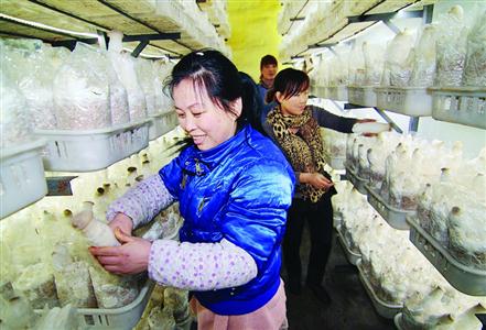 辽宁抚顺县马圈子乡人口多少
