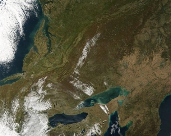 A专家历时2年集齐自然界中完整英文26字母表