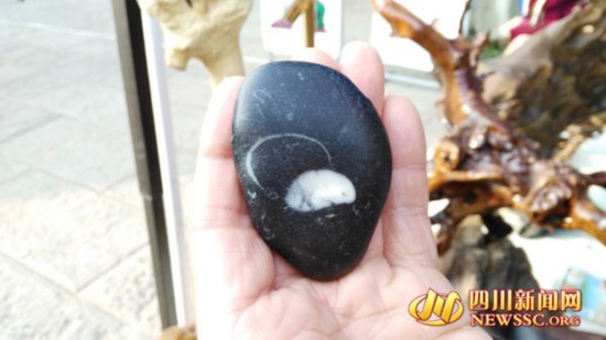 四川50岁男子痴迷石头 20年捡30多吨石头花5