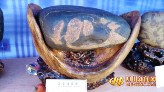 四川50岁男子痴迷石头 20年捡30多吨石头花5