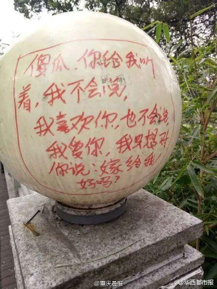 高校男生涂鸦路灯向女生求婚 网友:污染环境(图