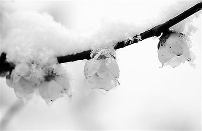 今日小寒:一年中气温最低 天寒地冻滴水成冰- 