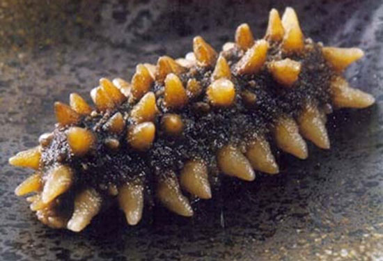 十大山东礼物出炉 威海特产占了两席!