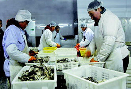 十大山东礼物出炉 威海特产占了两席!