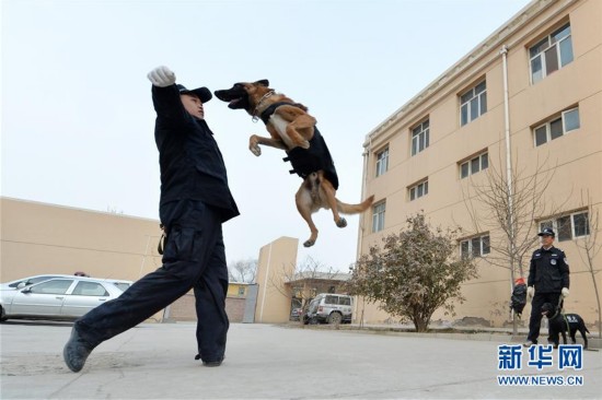 ��Ȯ����ѵ��������