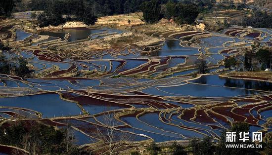 云南哈尼梯田美如画