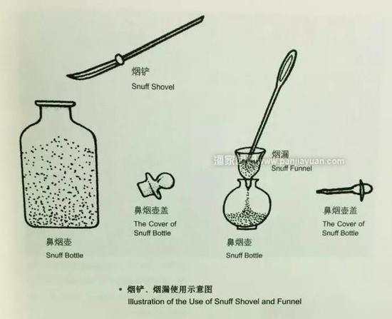 图片版权归原作者所有