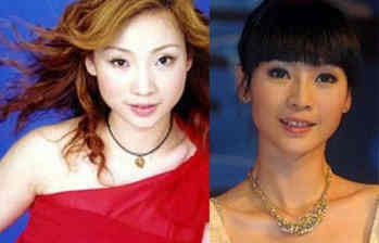 柳岩回应撞脸李小璐 揭其资料背景整容前后对比照曝光