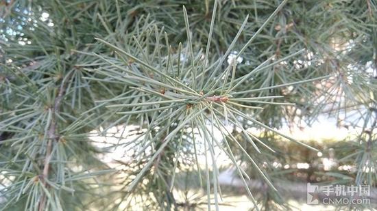 联想乐檬3上手评测:红米3手机隐形劲敌