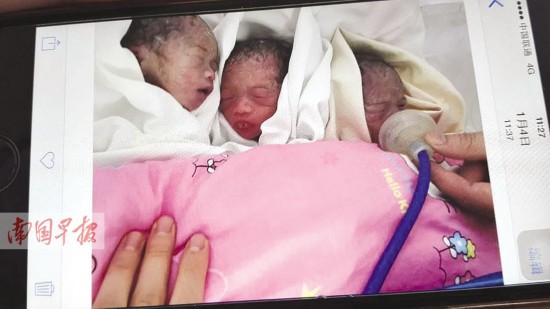 女友产下三胞胎小伙却难开颜 每天上万费用让人愁
