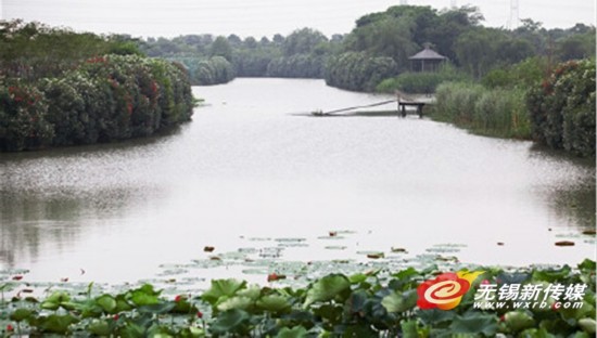 别墅月城湖公园省级成江阴首个湿地公园芙蓉a别墅湿地v别墅图片