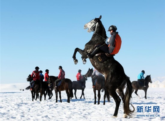 新疆伊犁天马之乡马术师展示赛马(组图)