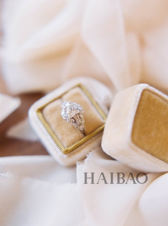 �q�B�Z�n�`�N��20���