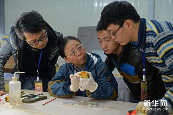 图片版权归原作者所有