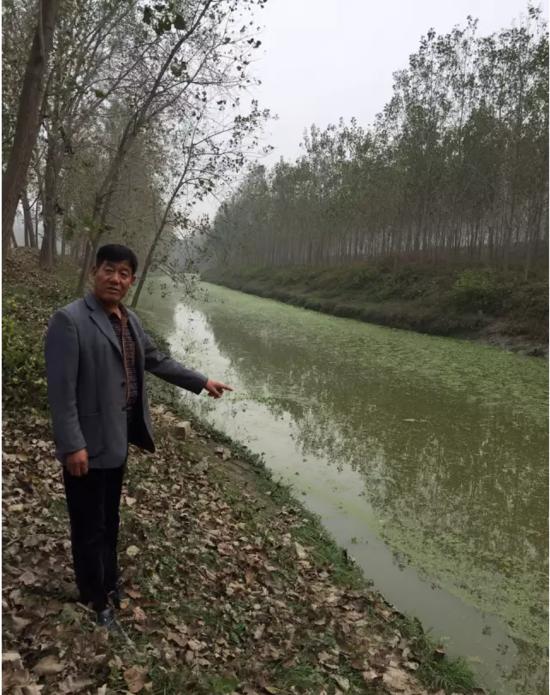 蘇皖交界的宿州市楊庄鄉,跨界河流郎溪河布滿了藍藻和浮萍,遠遠就能聞到河水的腥臭味。