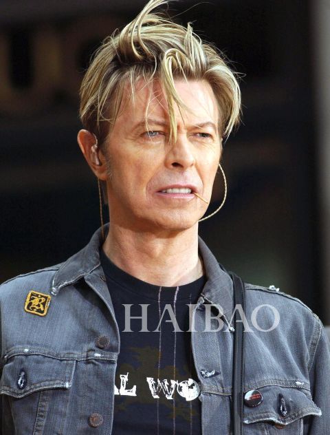 �j�áP�j�� (David Bowie)