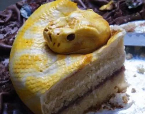 ֺ⣡̵11ڰϵʳ