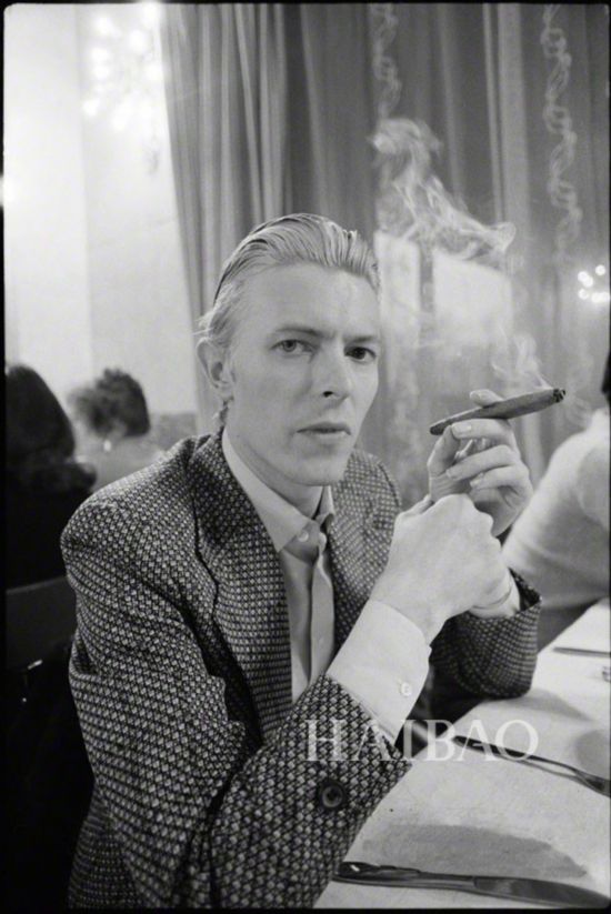 josephbowie,josephjoseph 大卫 鲍伊 (david bowie)